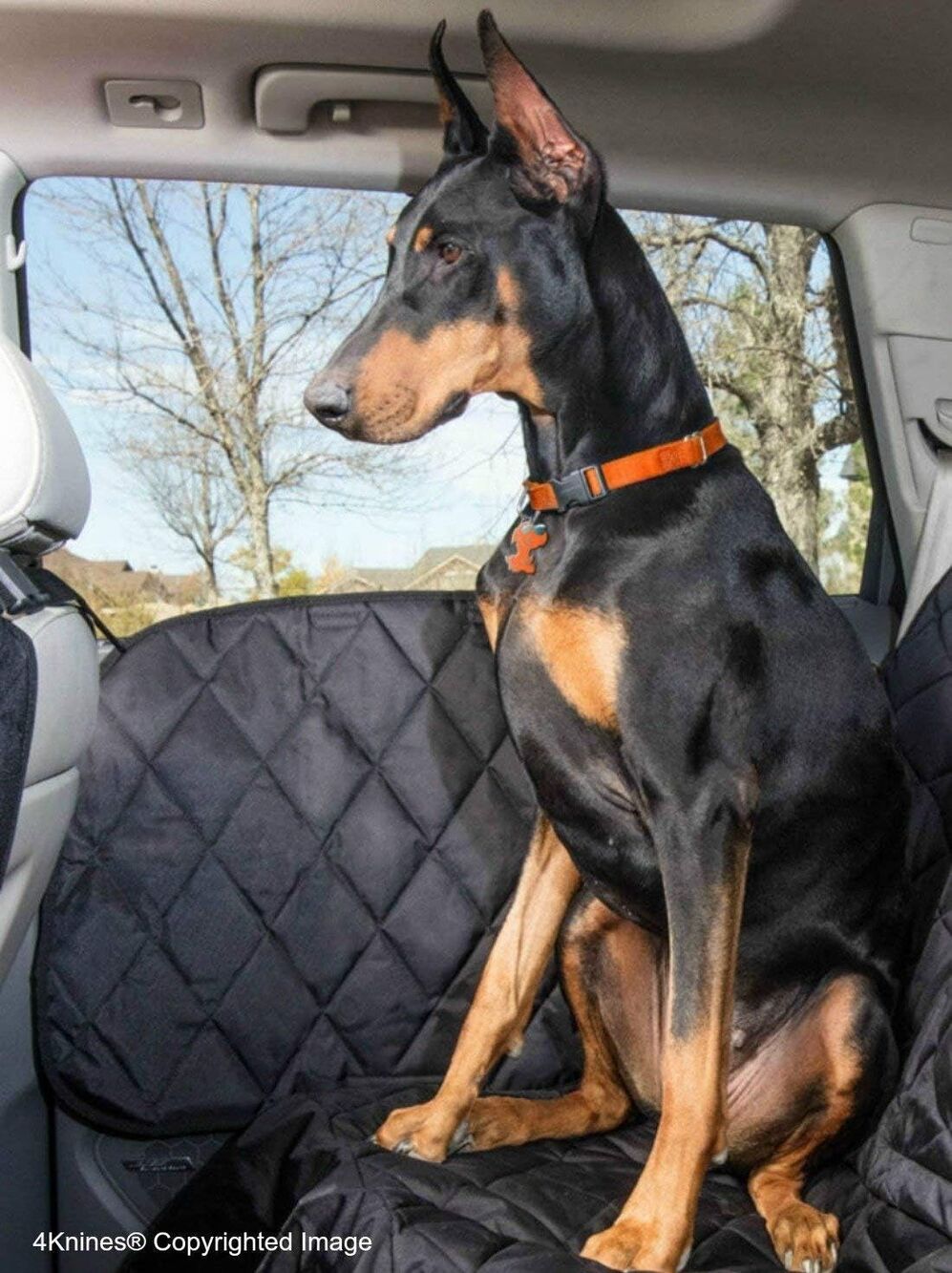 4Knines Durable Car Door Protector for Dogs, Waterproof, Set of 2, Black,‎ New
